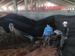 khu-trung-hang-trong-kho