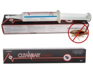 Diệt gián đức
