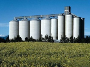 Diệt mọt silo giá rẻ tại TP HCM