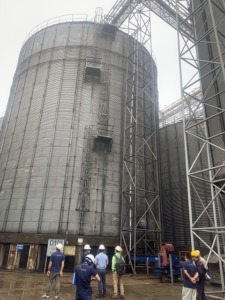 Hun trùng Silo giá rẻ tại TP Hồ Chí Minh